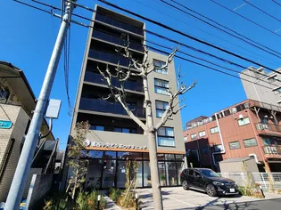 サンヴェール(ペット飼育可)【2階】の外観