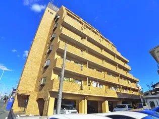 ストーンフィールドNO 3の画像