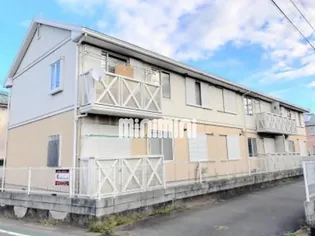 ウェルシャンYの画像