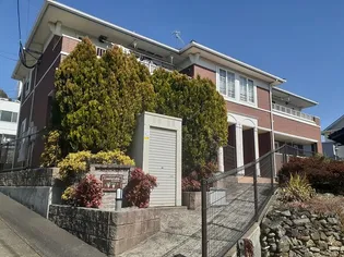 カンフォタブルの画像