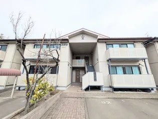 サンビレッヂ M 五番館の画像