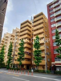 スカイコート新宿第5【4階】の外観