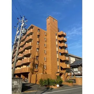 EXCELLENT WINGの画像