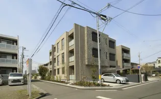 マレ ステラルムの画像