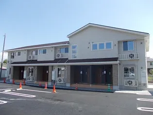 ベーネの画像