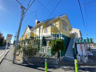 アネックスシイクマの画像