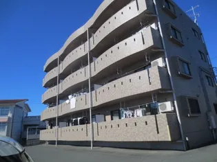 プレステージアスターの画像