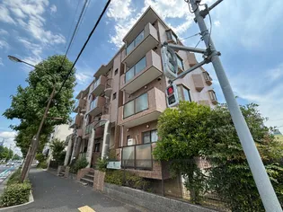 コートシャルマンの画像