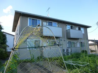 ヴォーン桜の画像