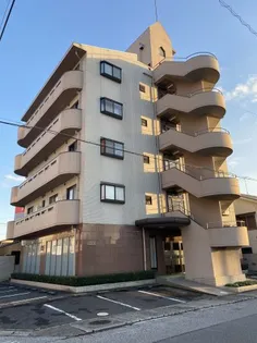 ベリング アイの画像