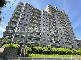 ベルドゥムール川口東の画像