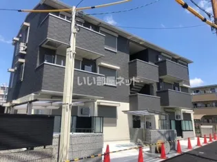 デイジーヒルの画像