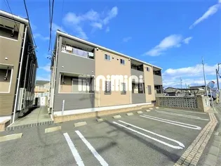 カームパインツリー21 Aの画像