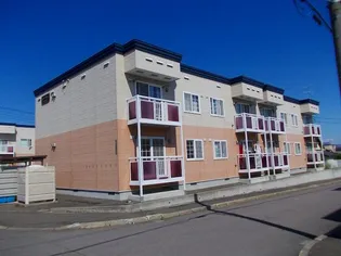 パイン ネクストの画像