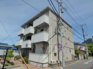 BRISA MARINAの画像