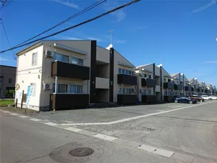 たんぽぽの画像