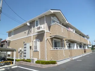 フィデールの画像