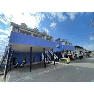 リコリスBの画像