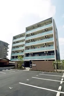 PRIMROSEの画像