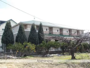 シャルマン土井の画像