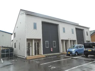 カメリアCの画像