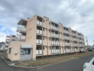 ビレッジハウス亀田3号棟【1階】の外観