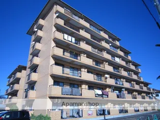 ぴあはくさんの画像