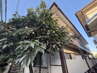 コーポ久納【1階】の外観