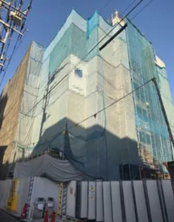 ティーズ ファーツリーの画像