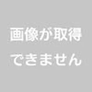 メゾンド蔵弐番館【3階】の間取り