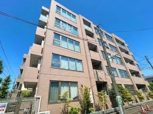 BLUE SHALLOWSの画像