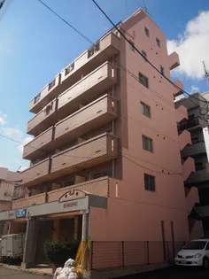 K・アルカディア【5階】の外観