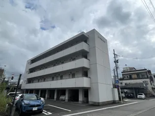 プルミエタカラの画像