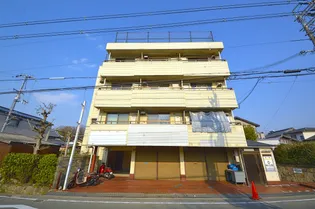 マンションサンフィールド【3階】の外観