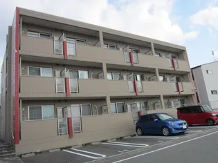 シャルムKの画像