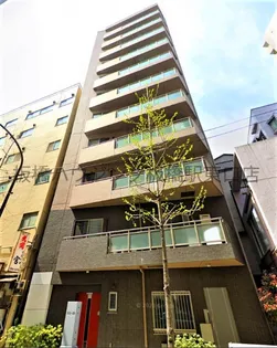 スティル Mの画像