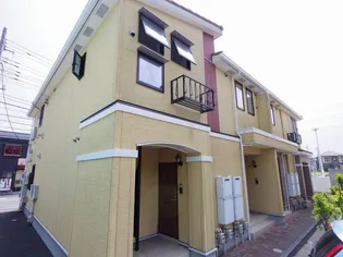 M'S ユーカリの画像