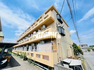 ハイラーク内田の画像