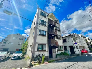 ハーベスト烏帽子の画像