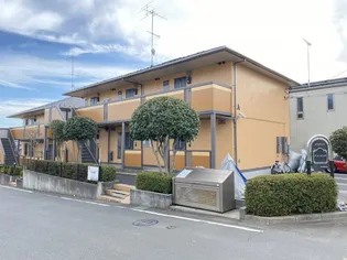 アメージング Aの画像