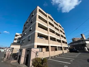 ローズ フェアリーIIの画像