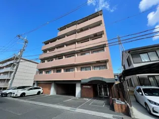 アノージュⅡの画像