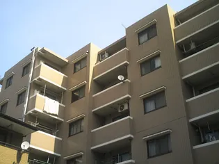 メルシー大森南の画像