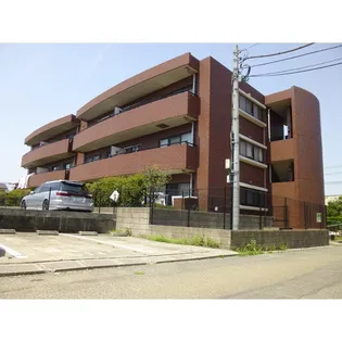 ラピスディーオの画像