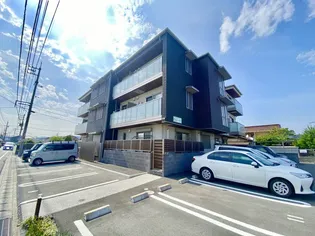 ピゴラーレIの画像