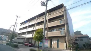 ラフィーネ井上の画像