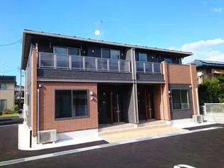 ノーチェの画像