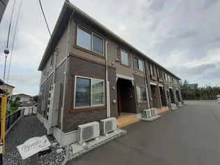 ボニートの画像