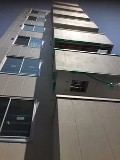 コートベルフラワーの画像