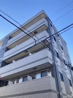 レピュア住吉レジデンスの画像